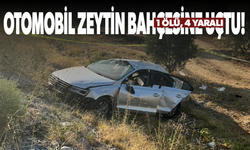 Otomobil zeytin bahçesine uçtu! 1 ölü, 4 yaralı