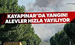 Kayapınar’da yangın alarmı: Alevler hızla yayılıyor!