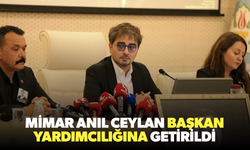 Anıl Ceylan başkan yardımcılığına getirildi