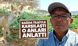Tilkiyle göz göze geldi konuşarak uğurladı