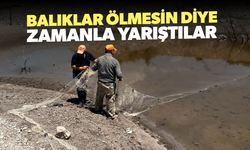 Balıklar ölmesin diye zamanla yarıştılar