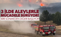 3 ilde alevlerle mücadele sürüyor! Biri sönmeden diğeri başlıyor