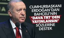 Bahçeli'den sonra Erdoğan da yeşil ışık yaktı
