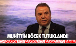 Muhittin Böcek tutuklandı!
