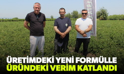 Hem hastalıklardan kurtuldular hem verimi artırdılar
