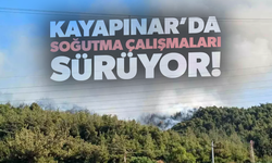 Kayapınar yangınında soğutma çalışmaları devam ediyor