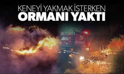 Keneyi yakmak isterken ormanı yaktı
