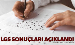 LGS sonuçları açıklandı