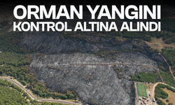 Manisa'daki orman yangını kontrol altına alındı