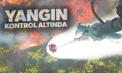 Manisa'daki orman yangını kontrol altına alındı
