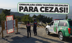 Ormanlara giriş yasağını delenlere para cezası