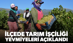 Salihli’de Tarım İşçiliği Yevmiyeleri Açıklandı