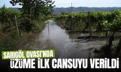 Sarıgöl Ovası’nda üzüme can suyu
