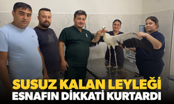 Susuz kalan leyleği esnafın dikkati kurtardı