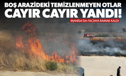 Temizlenmeyen kuru otlar yangına neden oldu