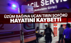 Üzüm bağına uçan tırın şoförü hayatını kaybetti