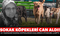 Sokak köpeklerinden kaçarken otomobil çarptı, hayatını kaybetti!
