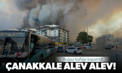 Çanakkale'de orman yangını: Alevler hastaneye yaklaştı