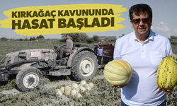 Kırkağaç kavununda hasat başladı
