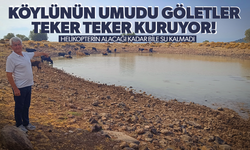 Köylünün umudu göletler bir bir kuruyor
