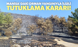 Manisa'daki orman yangınıyla ilgili 1 kişi tutuklandı