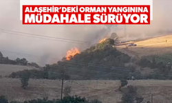 Orman yangınına müdahale sürüyor
