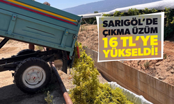 Sarıgöl’de çıkma üzüm 16 TL’ye yükseldi
