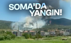 Soma'da orman yangını! Ekipler müdahale ediyor...