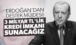 Cumhurbaşkanı Erdoğan'dan destek müjdesi: 3 milyar TL'lik kredi imkanı sunacağız
