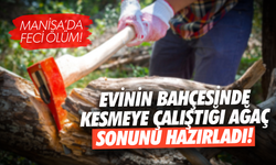 Bahçesindeki ağacı kesmek isterken feci şekilde can verdi