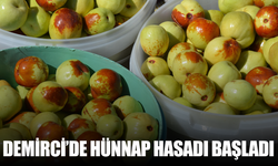 Demirci’de hünnap hasadı başladı