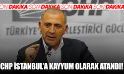 CHP İstanbul İl Başkanlığı'na kayyum olarak Gürsel Tekin atandı