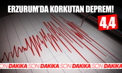 Erzurum'da korkutan deprem!