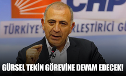 Gürsel Tekin görevine devam edecek!