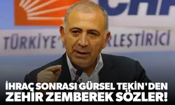 Gürsel Tekin'den zehir zemberek sözler!
