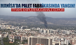 Manisa’da Palet Fabrikasında Yangın: İtfaiye Ekipleri Müdahale Ediyor
