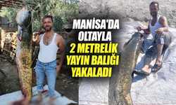 Manisa'da oltayla 2 metrelik yayın balığı yakaladı