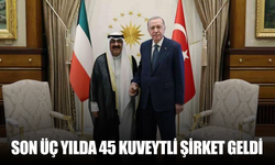 Son üç yılda 45 Kuveytli şirket geldi