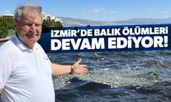 İzmir Körfezi’nde Balık ölümleri yine başladı
