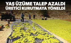 Yaş üzüme talep azaldı, üretici kurutmaya yöneldi