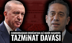 Cumhurbaşkanı Erdoğan, Ali Mahir Başarır'a 250 bin TL'lik tazminat davası