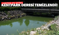 Haberimiz ses getirdi: Kentpark deresi temizlendi!