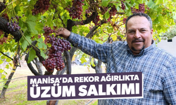 Sarıgöllü üreticiden 1 kilo 740 gramlık üzüm salkımı