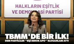 TBMM'de bir ilk: DEM Partililer ''Biji Serok Apo'' sloganları attı