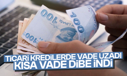 Ticari kredilerde vade uzadı, kısa vade dibe indi