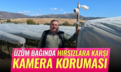 Üzüm bağını hırsızlara karşı kamera ile koruyor