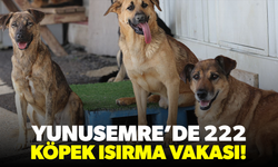 Yunusemre’de 222 köpek ısırma vakası!