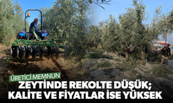 Zeytinde rekolte düşük; kalite ve fiyatlar ise yüksek
