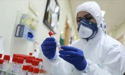 Kuzey Yarımküre'de H3N2 alarmı: Virüs çok hızlı yayılıyor