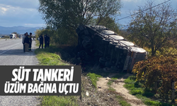 Alaşehir’de süt tankeri üzüm bağına uçtu